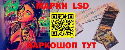 дмт Новозыбков