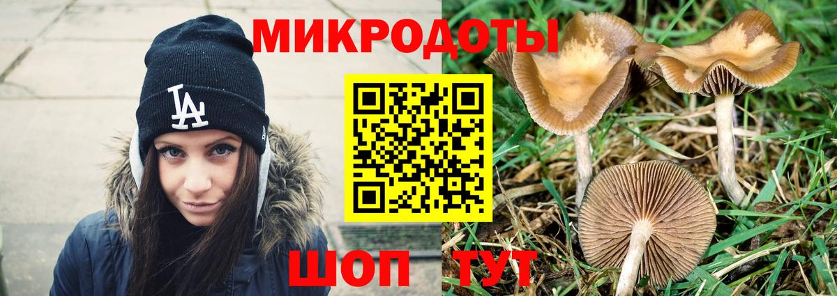 Псилоцибиновые грибы GOLDEN TEACHER Тулун