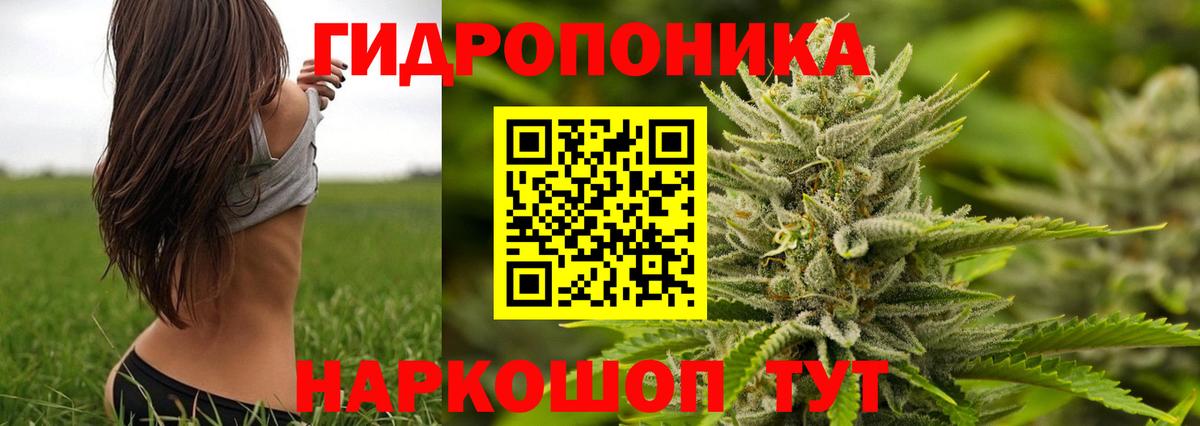 Шишки марихуана тримм  Вход с VPN  Каннабис конопля  Тулун 